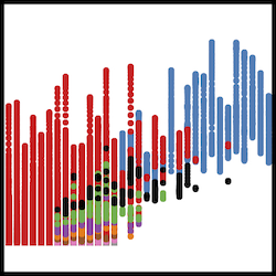 Egalitarian transition