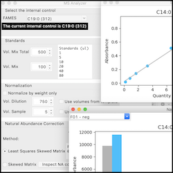 Mass Spectroscopy analysis